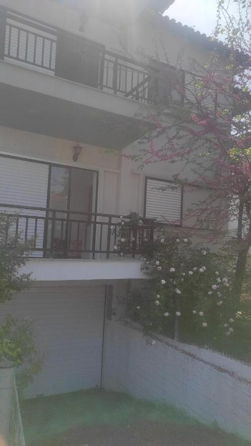Apartamento Iris Pefkochori Habitación foto